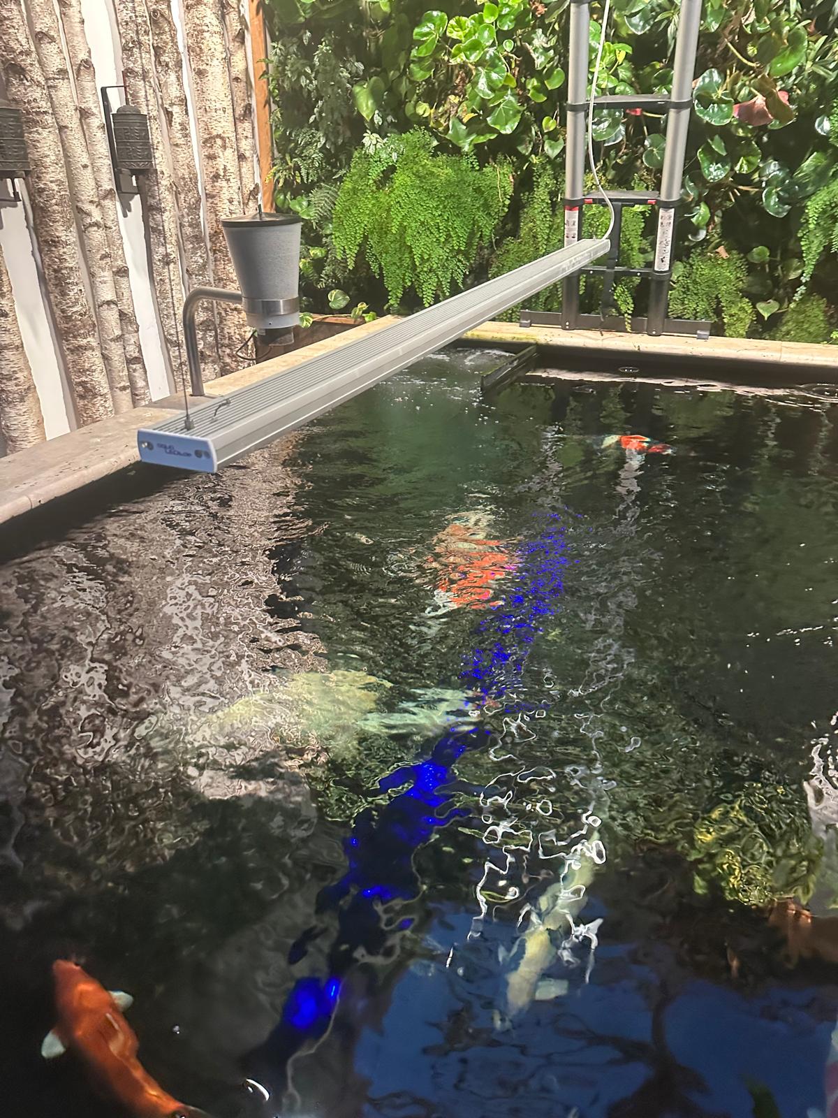 aquaBAR HC+ Koi