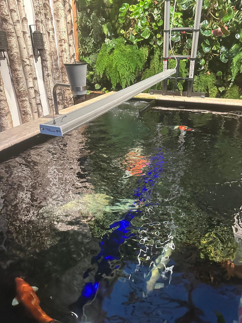 aquaBAR HC+ Koi