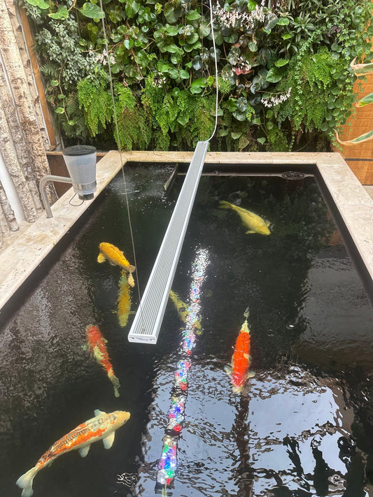 aquaBAR HC+ Koi