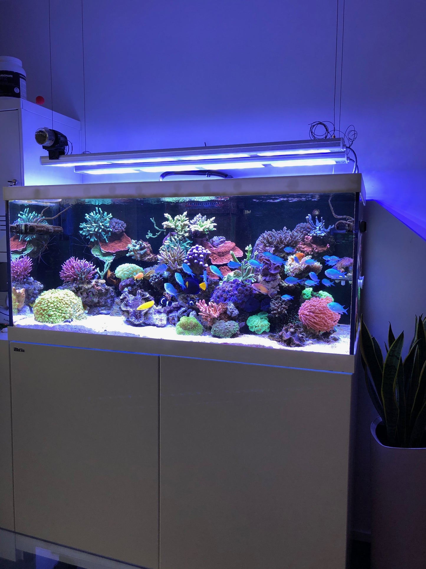 aquaBAR HC+ Reef