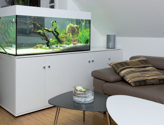 aquaBAR HC+ Plant