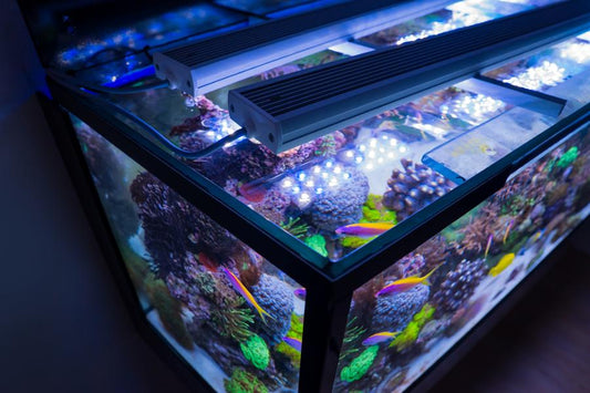 aquaBAR HC+ Reef
