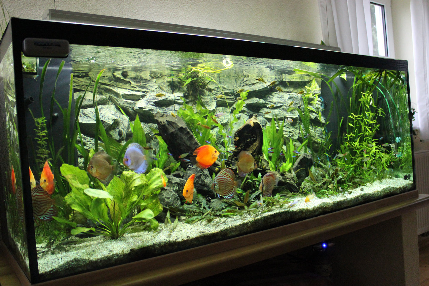 aquaBAR HC+ Plant